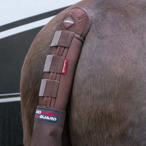 LeMieux-Tailguard-Brown