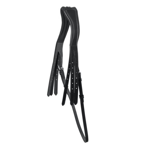 Schockemohle-double-headpiece-select-black Schockemohle-double-headpiece-select-black