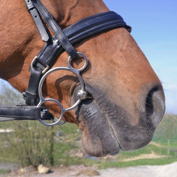 Sprenger-KK-Ultra-Universal-Bit-3-ring-lifestyle