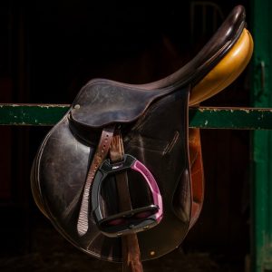 Flex-on-safe-on-stirrups-lifestyle-image-1