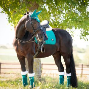 LeMieux-Loire-Classic-Dressage-Peacock-3