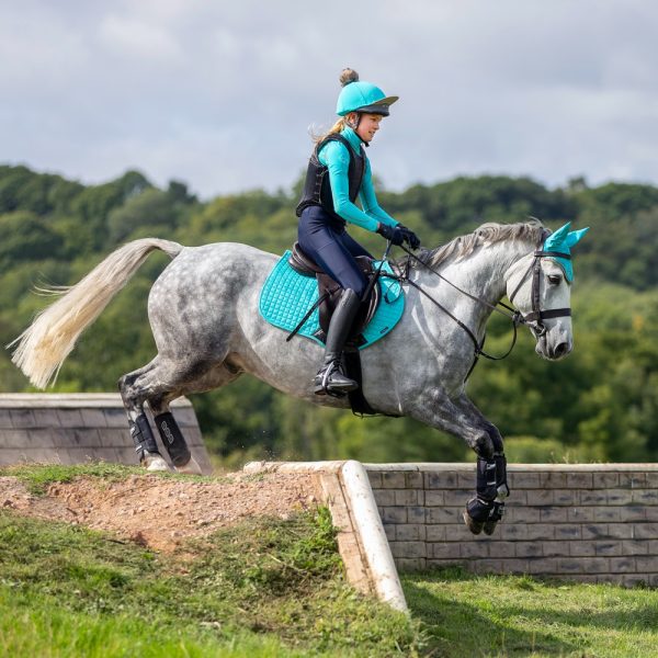 LeMieux-Suede-Saddle-Pad-Azure-Lifestyle-Image-8