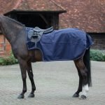 Mark-Todd-Exercise-Rug-With-Coolex-Lining-Waterproof-Navy-Blue