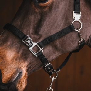 Fager-Smart-Nylon-Halter-Black-2