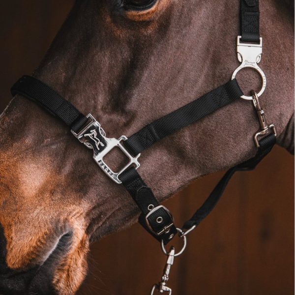 Fager-Smart-Nylon-Halter-Black-2