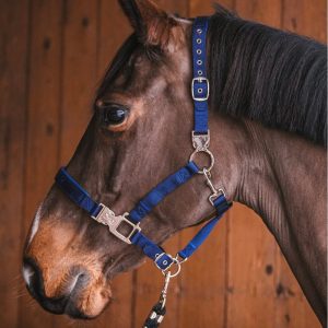Fager-Smart-Nylon-Halter-Blue-3