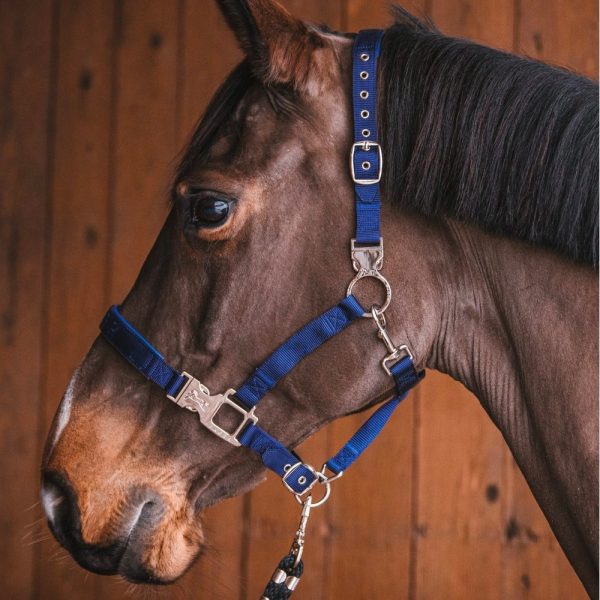Fager-Smart-Nylon-Halter-Blue-3