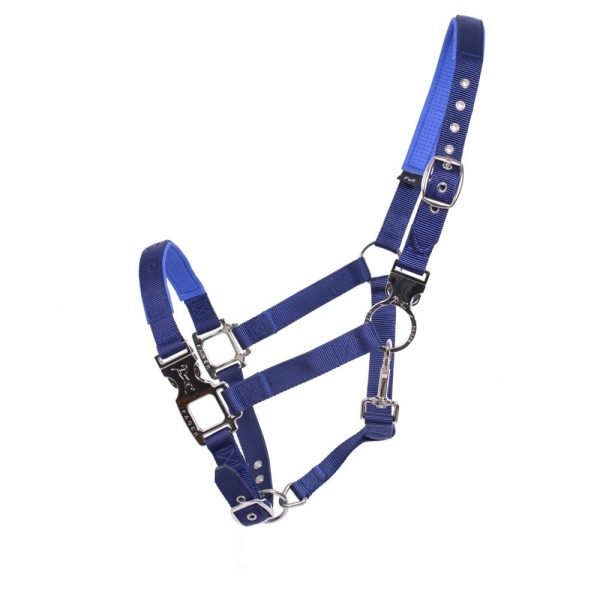 Fager-Smart-Nylon-Halter-Blue-4 Fager-Smart-Nylon-Halter-Blue-4