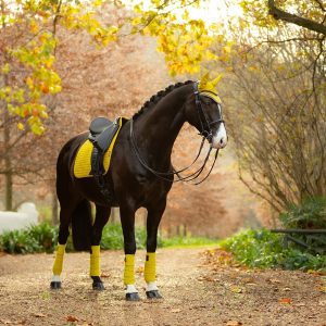 LeMieux-Suede-Dressage-Square-Lifestyle-Image-1