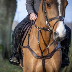 LeMieux-Stormwear-Waterproof-Chaps-Image-3