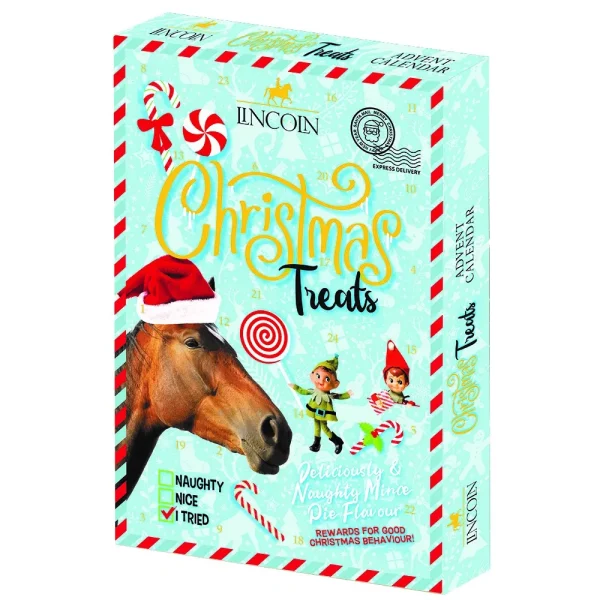 Lincoln-Naughty-or-Nice-Advent-Calendar-01
