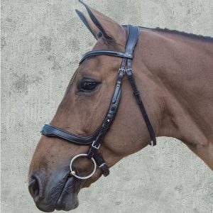 Schockemohle-Equitus-Delta-Black-1