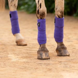 LeMieux-Polo-Bandages-Bluebell-Image-2