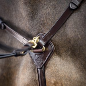 LeMieux-Breastplate-Havana-Lifestyle-Image-3