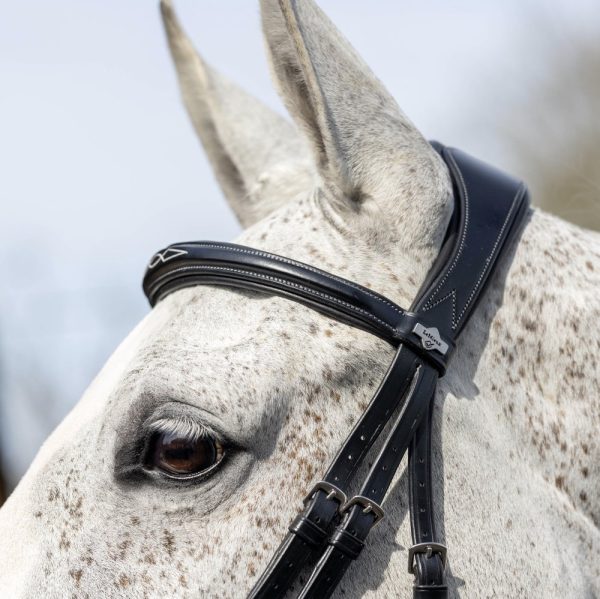 LeMieux-Competition-Bridle-Black-Lifestyle-Image-1