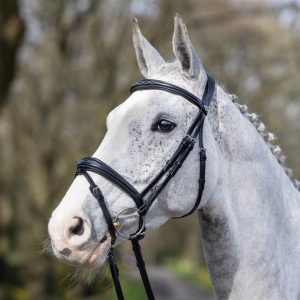 LeMieux-Competition-Bridle-Black-Lifestyle-Image-2