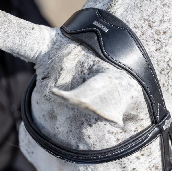 LeMieux-Competition-Bridle-Black-Lifestyle-Image-3