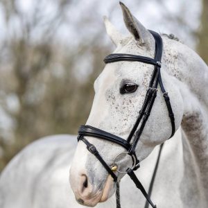 LeMieux-Competition-Bridle-Black-Lifestyle-Image-4