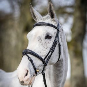 LeMieux-Competition-Bridle-Black-Lifestyle-Image-5