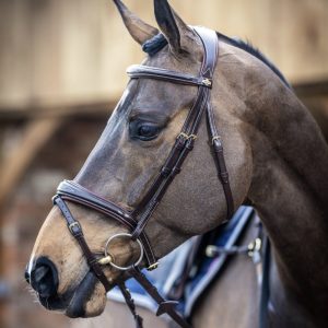 LeMieux-Competition-Bridle-Brown-Lifestyle-Image-1