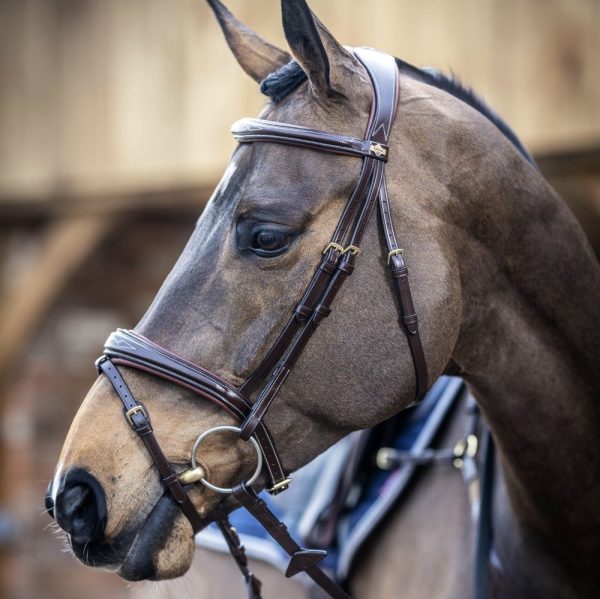 LeMieux-Competition-Bridle-Brown-Lifestyle-Image-1