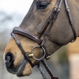 LeMieux-Competition-Bridle-Brown-Lifestyle-Image-2