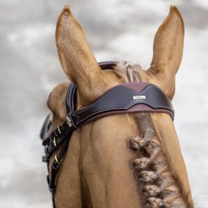 LeMieux-Competition-Bridle-Brown-Lifestyle-Image-3