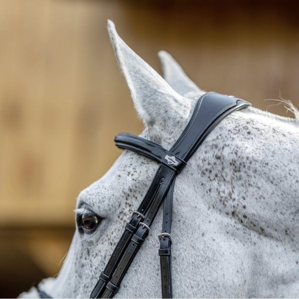 LeMieux-Grackle-Bridle-Black-Lifestyle-Image-1