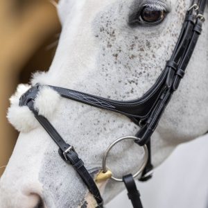 LeMieux-Grackle-Bridle-Black-Lifestyle-Image-2