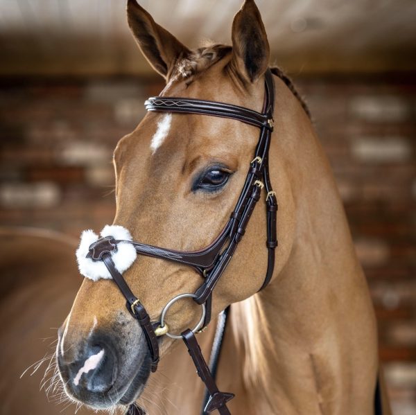LeMieux-Grackle-Bridle-Brown-Lifestyle-Image-1