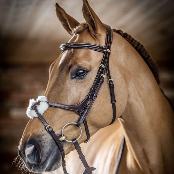 LeMieux-Grackle-Bridle-Brown-Lifestyle-Image-2