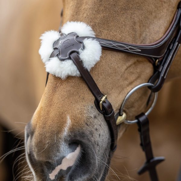 LeMieux-Grackle-Bridle-Brown-Lifestyle-Image-3