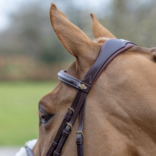 LeMieux-Grackle-Bridle-Brown-Lifestyle-Image-4