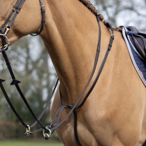 LeMieux-Martingale-Brown-Lifestyle-Image-1
