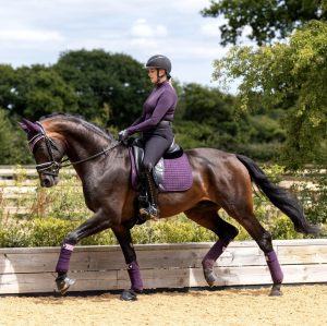 LeMieux-Suede-Dressage-Pad-Fig-Lifestyle-Image-1
