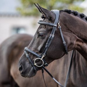 LeMieux-Work-Bridle-Lifestyle-Image-Black-2