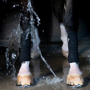 Incrediwear