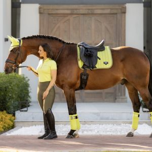 LeMieux-Loire-Polo-Bandages-Kiwi-Image-Image-1