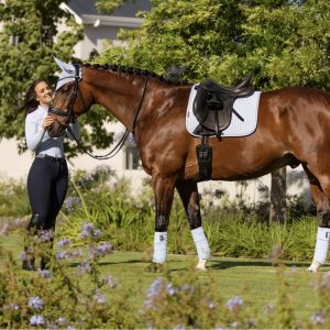 LM-Suede-Dressage-Lifestyle-Image-Mist-Hudson-Equine-1