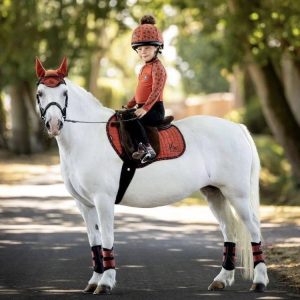 Mini-LeMieux-Sienna-Image-Hudson-Equine