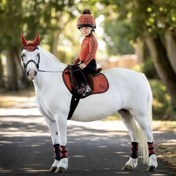 Mini-LeMieux-Sienna-Image-Hudson-Equine