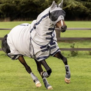 LeMieux-Kudos-Gladiator-Fly-Rug-Image-3