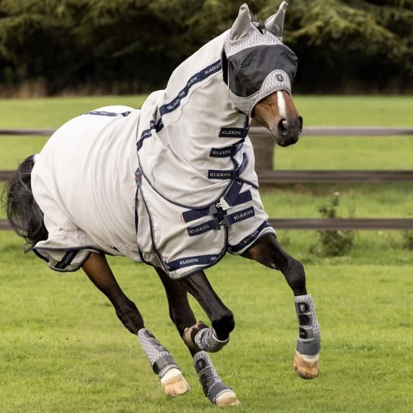 LeMieux-Kudos-Gladiator-Fly-Rug-Image-3