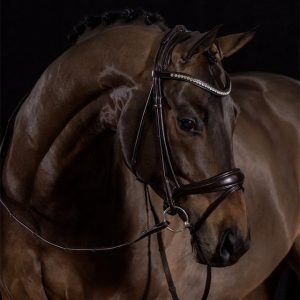 Schockemohle-Westminster-Anatomical-Snaffle-Bridle-Black-Image-3