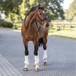 Stubben-Air-Flow-Brushing-Boots-White-Image-4