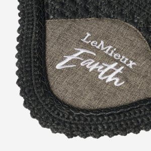 LeMieux-Earth-Fly-Hood-Moss-2