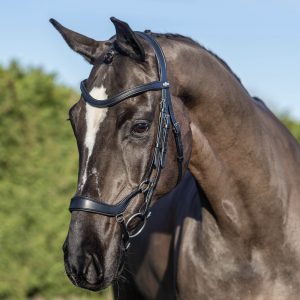 LeMieux-Arika-Drop-Bridle-Black-1