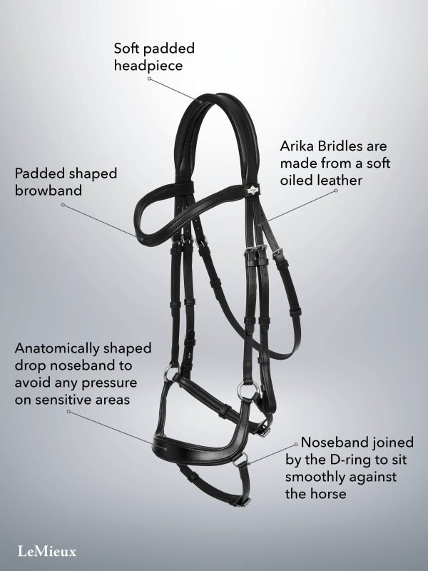 LeMieux-Arika-Drop-Bridle-Black-3