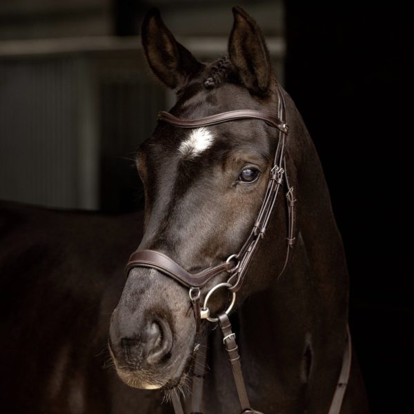 LeMieux-Arika-Drop-Bridle-Brown-3