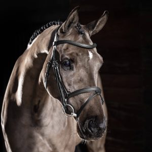 LeMieux-Arika-Flash-Bridle-Black-1